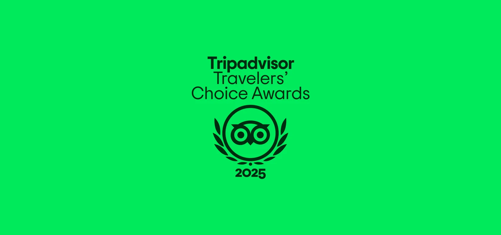 Abbiamo ricevuto il premio Travellers' Choice 2025 di TripAdvisor