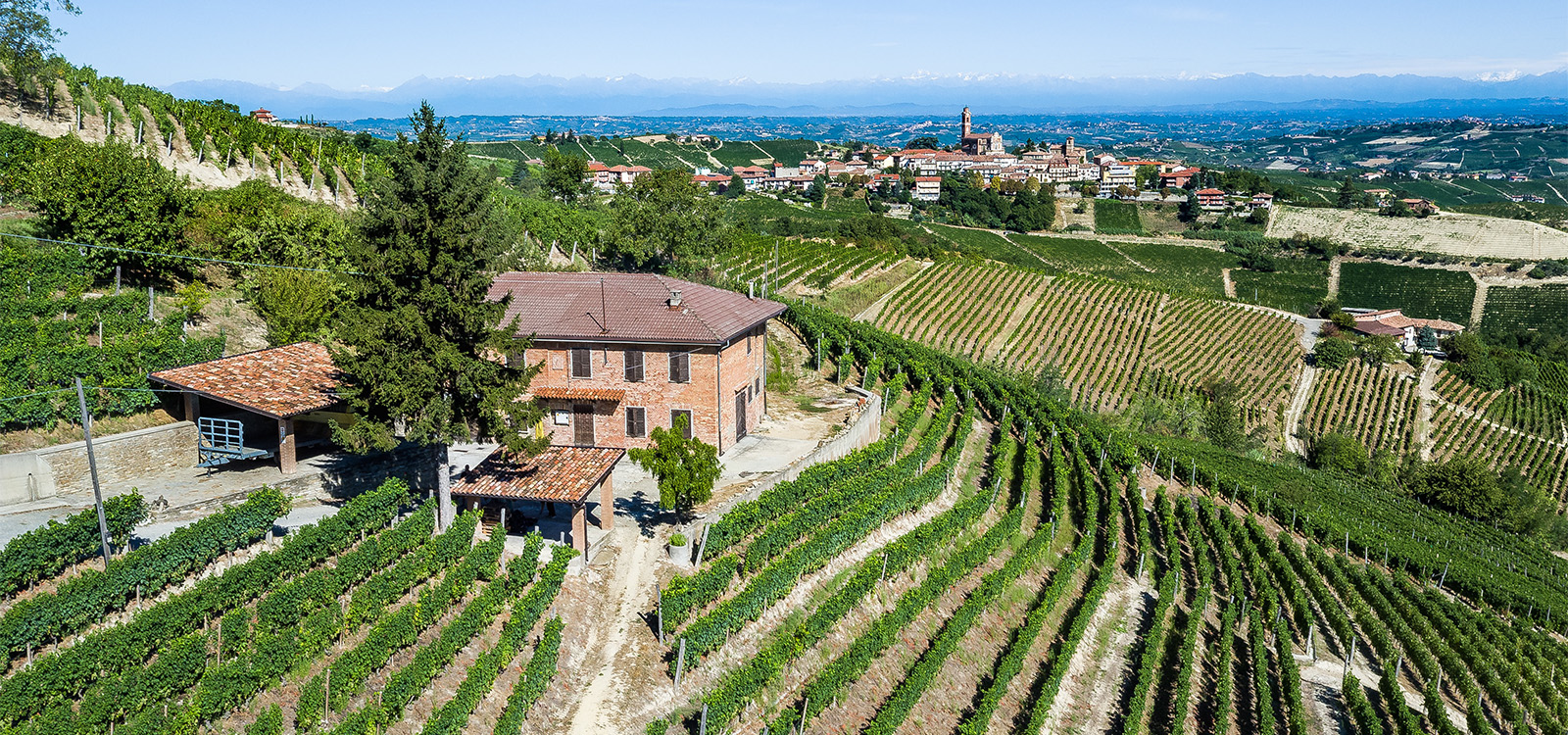 Regala un'esperienza unica presso la nostra cantina