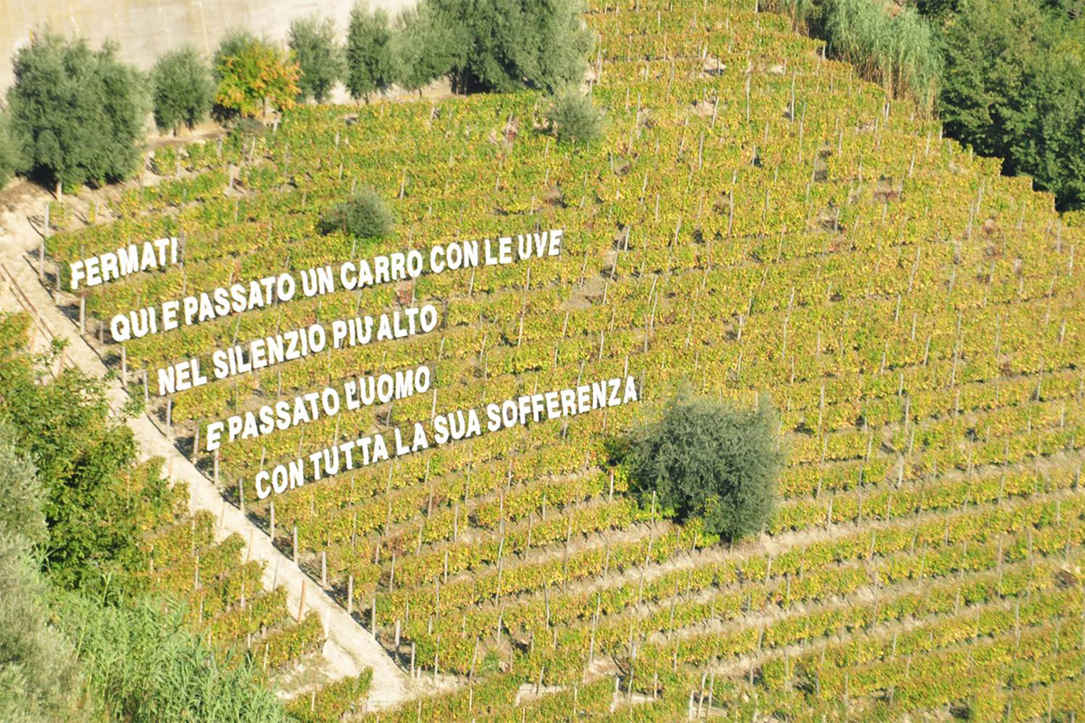 The verses in the vineyard