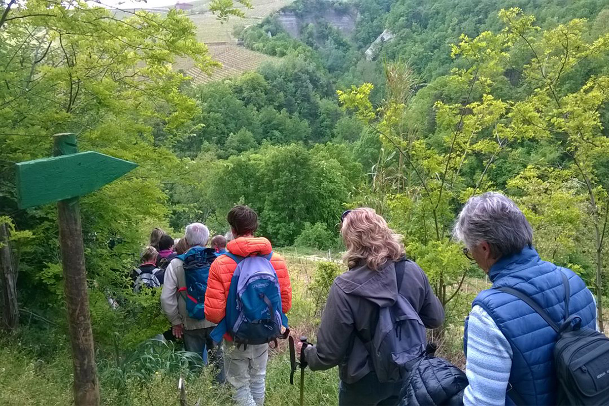 Uno dei sentieri nelle Langhe