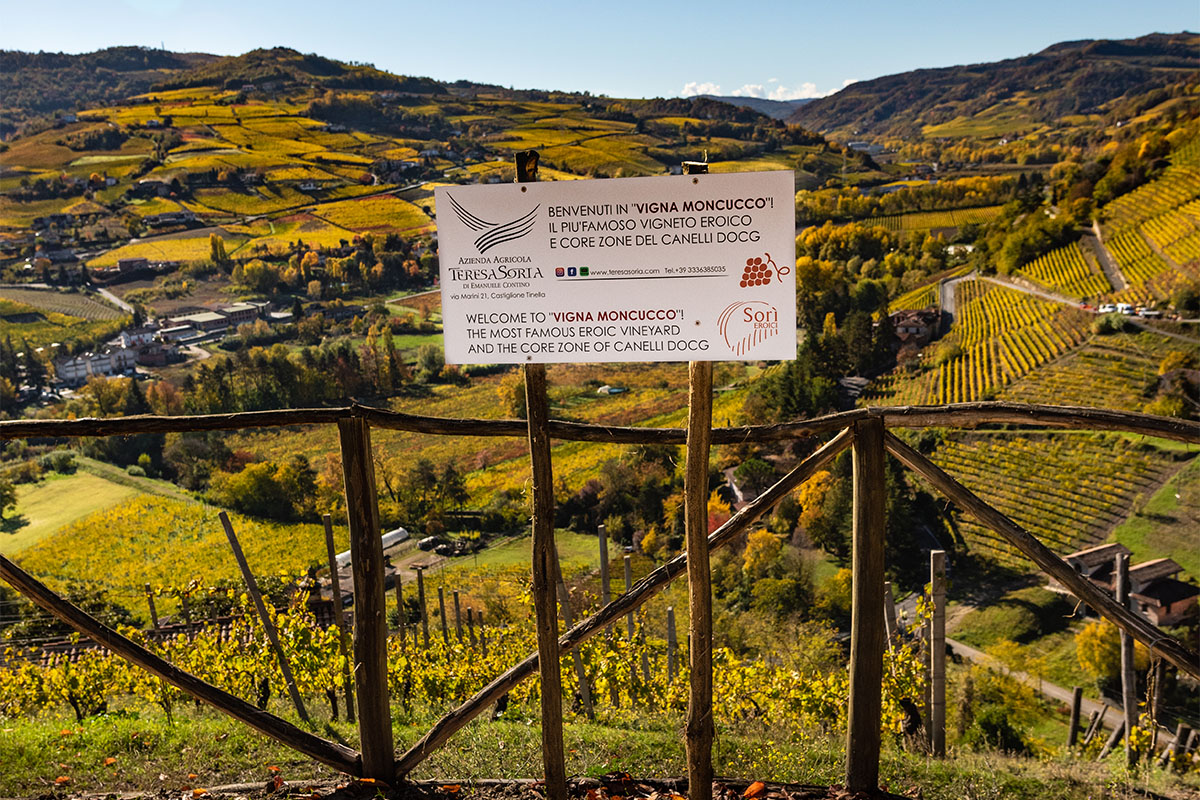 Vista sulle colline dalle sedie giganti