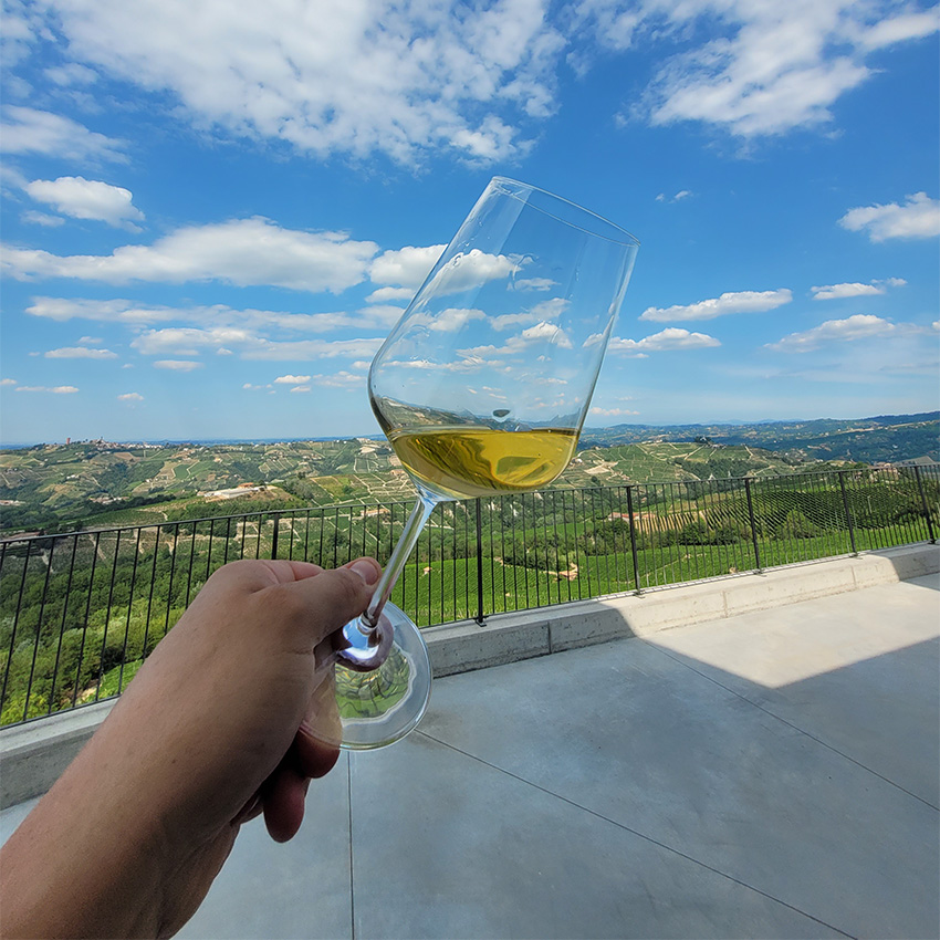 Piedmont winery Guided tours